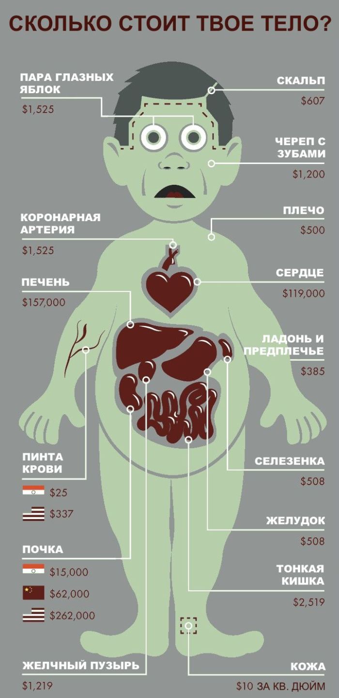 Человек сколько стоит